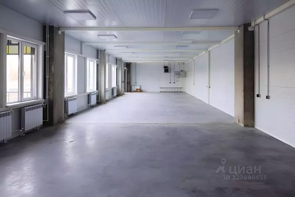 Производственное помещение в Воронежская область, Новоусманский район, ... - Фото 2