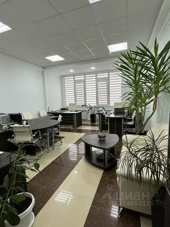 Офис в Краснодарский край, Анапа Астраханская ул., 84В (40 м) - Фото 1