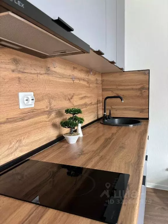 Студия Ленинградская область, Ломоносовский район, Аннинское городское ... - Фото 1