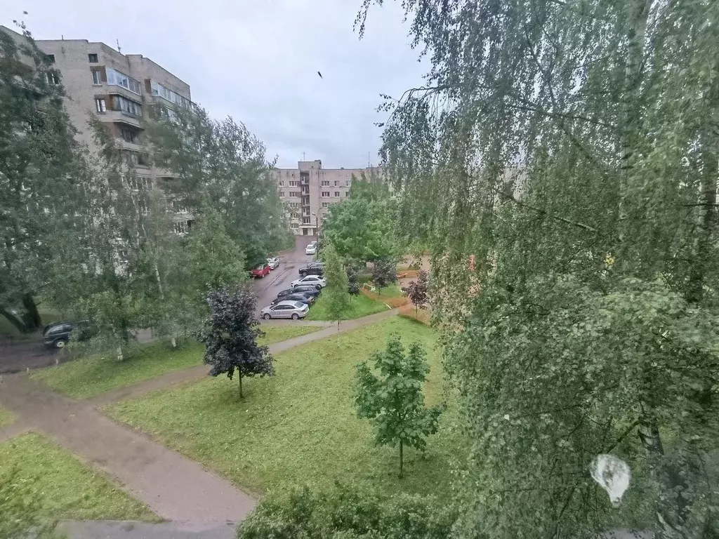 2-к кв. Санкт-Петербург, Санкт-Петербург, Пушкин ул. Генерала Хазова, ... - Фото 0