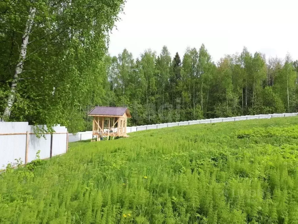 Участок в Пермский край, Пермский муниципальный округ, д. Карасье, ... - Фото 1