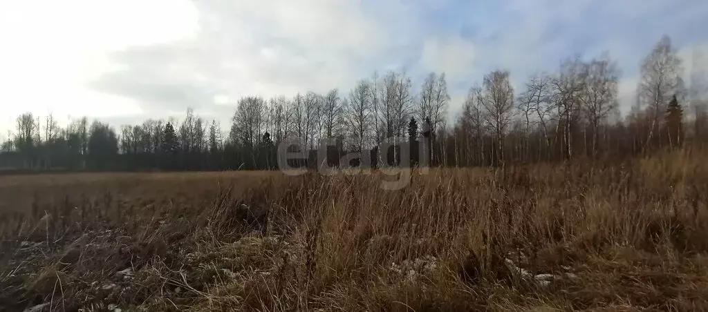 Участок в Костромской район, Самсоновское сельское поселение, СНТ ... - Фото 2