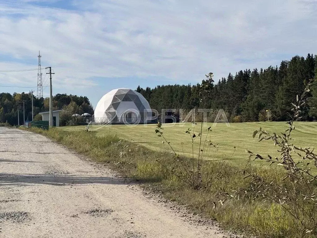 Участок в Тюменская область, Тюменский муниципальный округ, с. ... - Фото 1