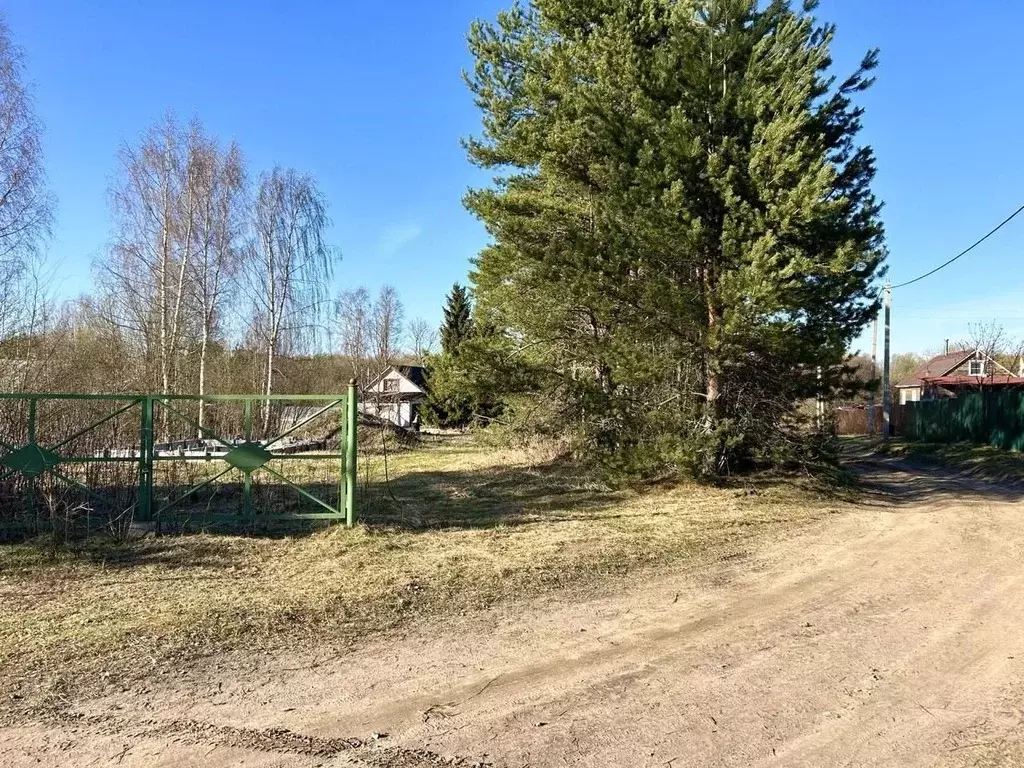 Участок в Ленинградская область, Лодейнопольский район, Доможировское ... - Фото 1