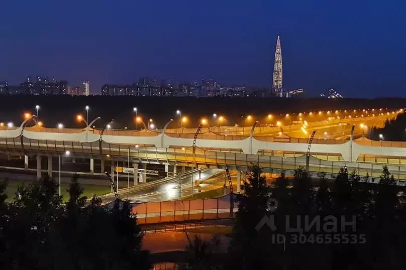 1-к кв. Санкт-Петербург Планерная ул., 63к1 (27.0 м) - Фото 1