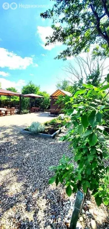 Дом в Краснодарский край, Туапсинский муниципальный округ, село Агой ... - Фото 2