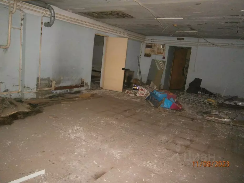 Помещение свободного назначения в Новосибирская область, Новосибирск ... - Фото 2