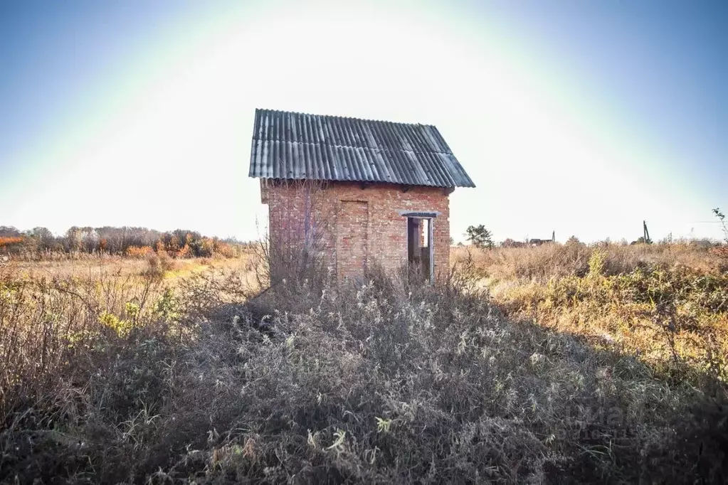 Дом в Новосибирская область, Бердск Вега-4 СНТ, 272 (24 м) - Фото 0