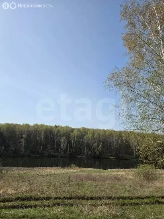 Участок в Щёкинский район, сельское поселение Яснополянское, деревня ... - Фото 2