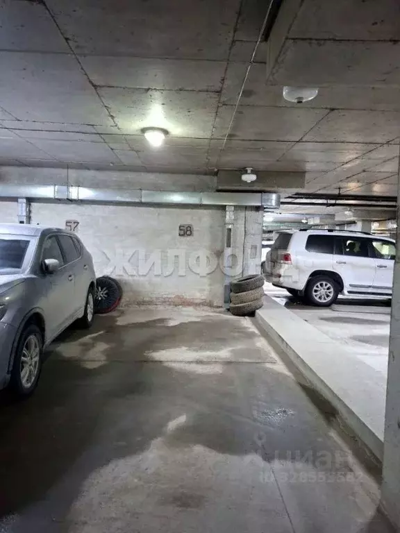 Гараж в Новосибирская область, Новосибирск ул. Бориса Богаткова, 208/3 ... - Фото 2