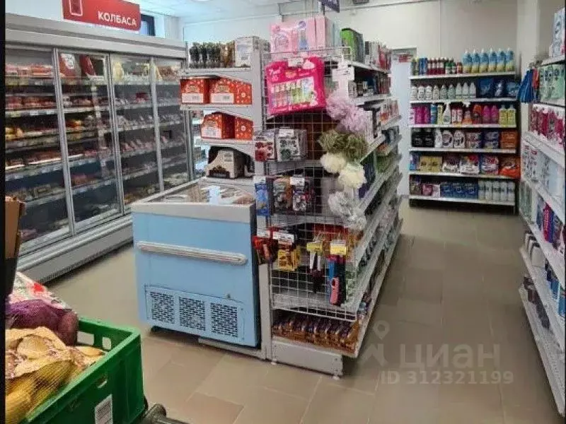 Торговая площадь в Санкт-Петербург Белоостровская ул., 10к1 (303 м) - Фото 1