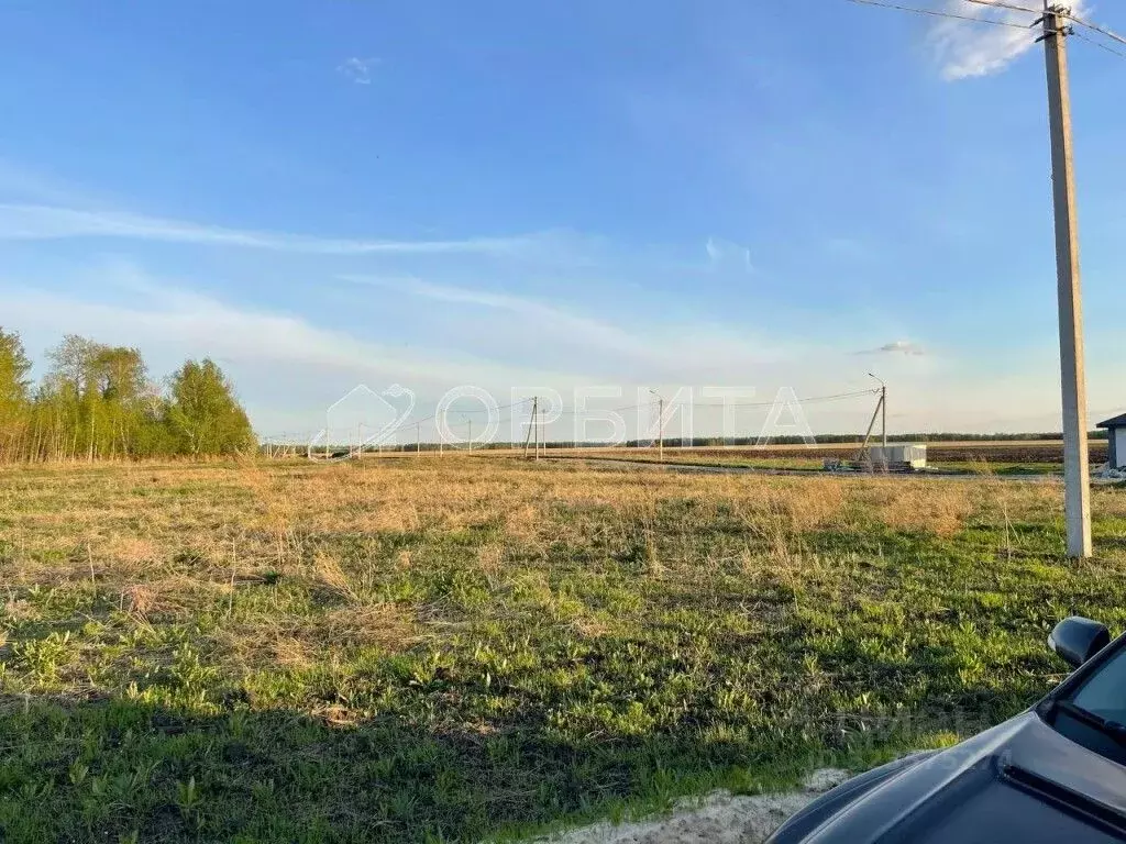 Участок в Тюменская область, Тюменский муниципальный округ, Каменское ... - Фото 2