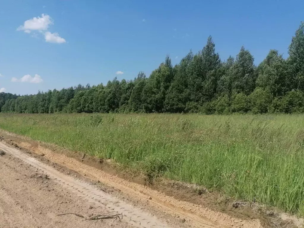 Участок в Московская область, Дмитровский городской округ, Раменье дп  ... - Фото 1