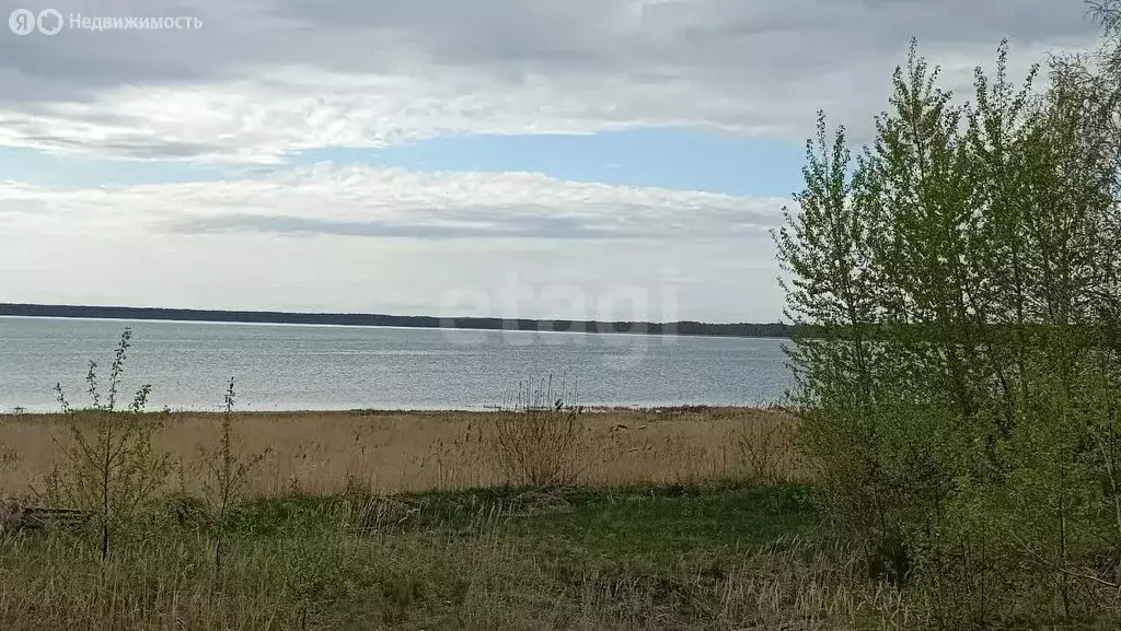 Участок в Челябинская область, Каслинский муниципальный округ, село ... - Фото 2