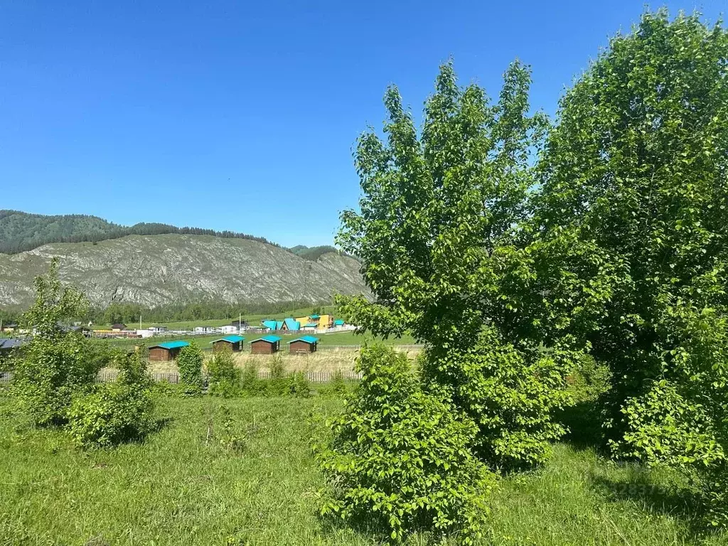 Участок в Алтай, Чемальский район, Аносинское с/пос  (11.95 сот.) - Фото 2