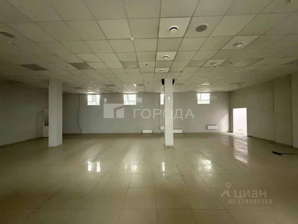 Торговая площадь в Новосибирская область, Новосибирск Красный просп., ... - Фото 0