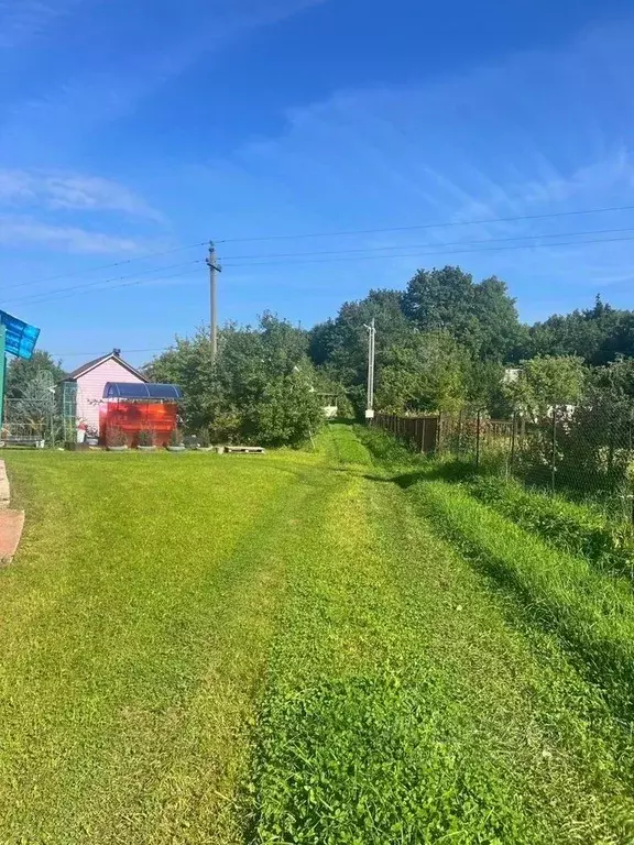 Участок в Ленинградская область, Кингисеппский район, Котельское ... - Фото 1