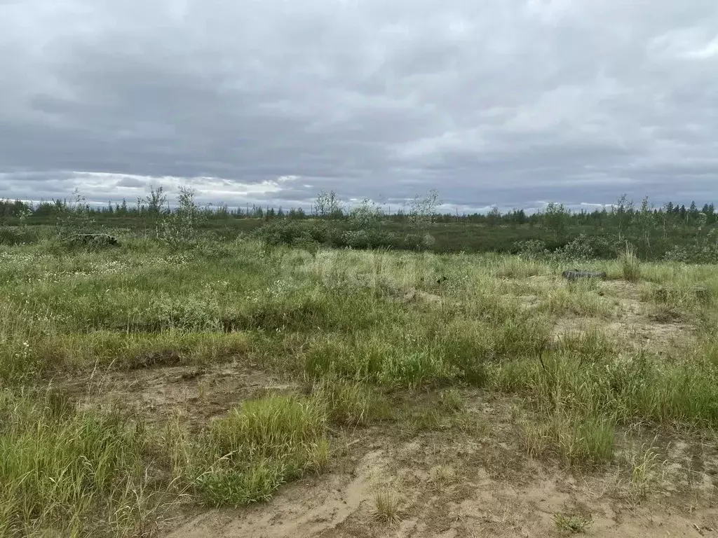 Участок в Ямало-Ненецкий АО, Новый Уренгой Уралец мкр, МК-126 кв-л,  ... - Фото 1