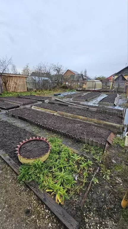 Дом в Новгородская область, Старая Русса ул. Добролюбова (40 м) - Фото 1