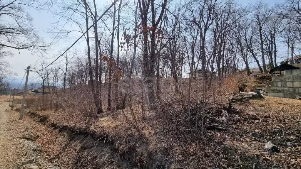 Участок в Приморский край, Надеждинский район, Иволга-2 ДНТ  (10.0 ... - Фото 0