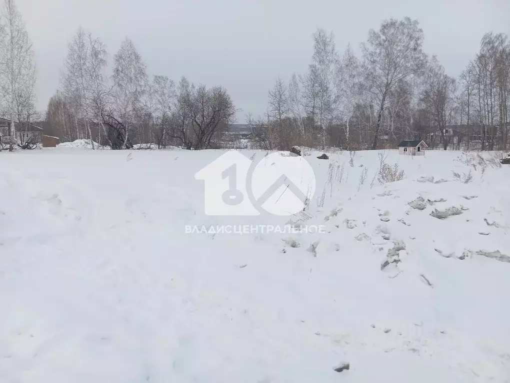 Участок в Новосибирская область, Новосибирский район, Каменский ... - Фото 1