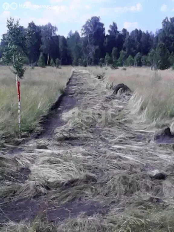 Участок в Курганская область, Кетовский муниципальный округ, село ... - Фото 1