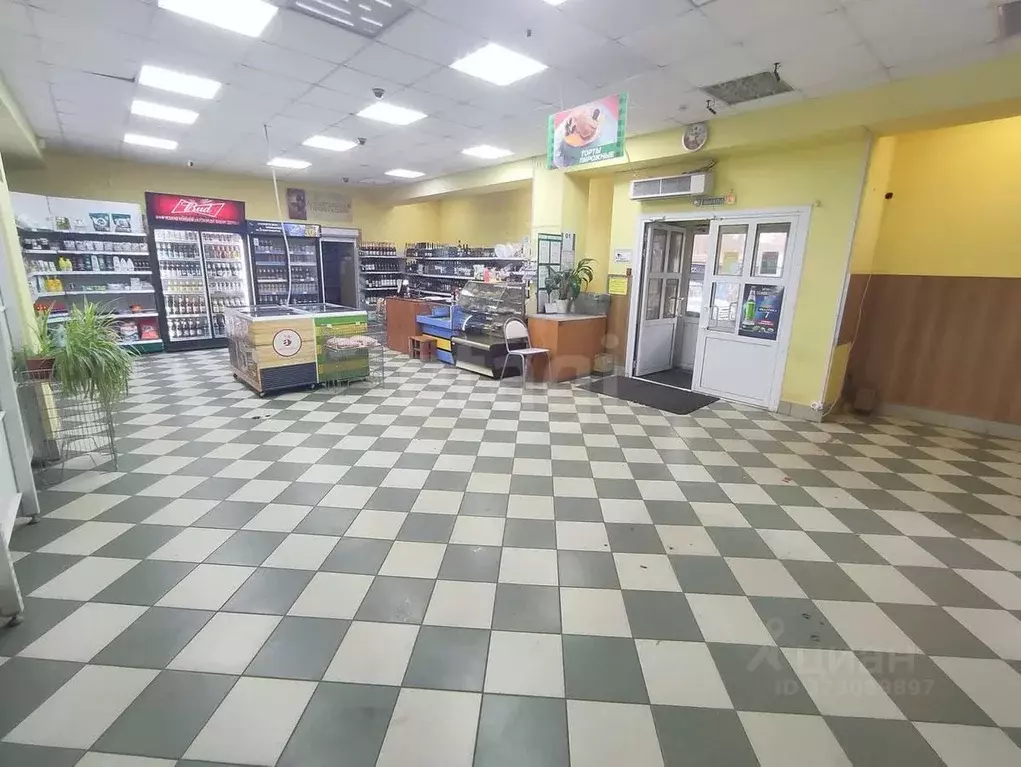 Торговая площадь в Владимирская область, Гусь-Хрустальный ул. ... - Фото 1