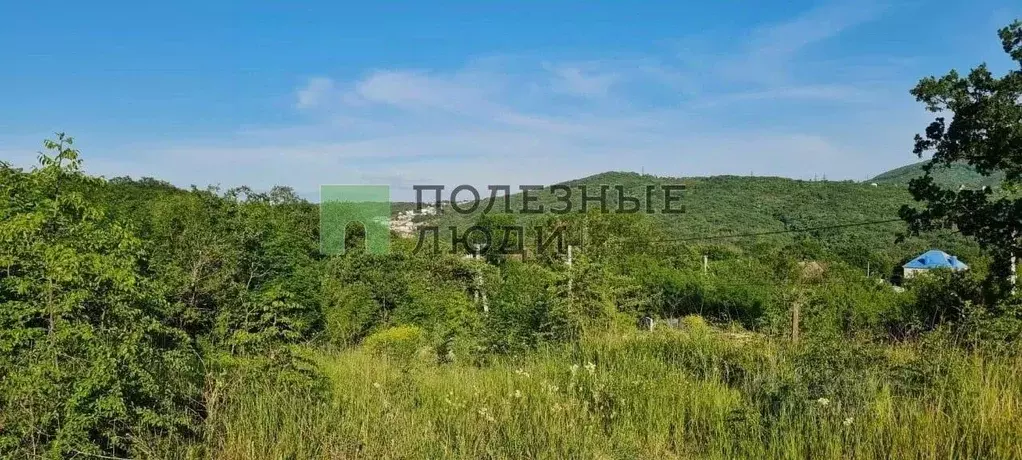 Участок в Краснодарский край, Сочи Сириус пгт, ул. Цветочная (8.75 ... - Фото 1