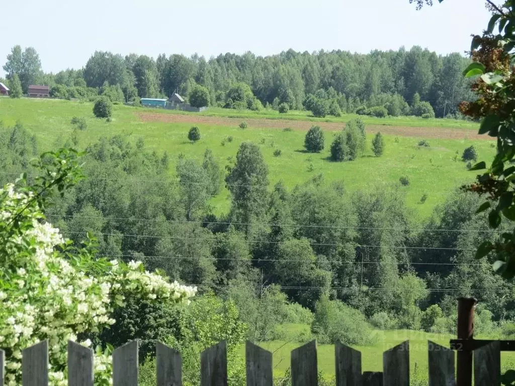 Дом в Тверская область, Оленинский район, д. Береза  (36 м) - Фото 0