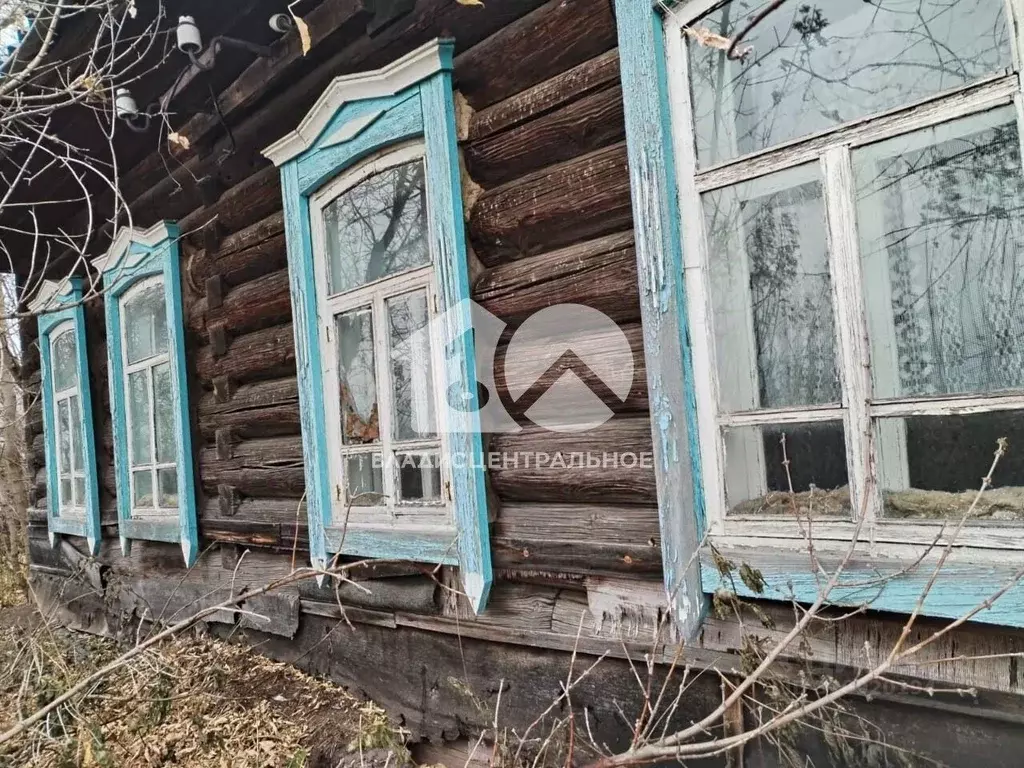 Дом в Новосибирская область, Тогучинский район, с. Златоуст ул. ... - Фото 1