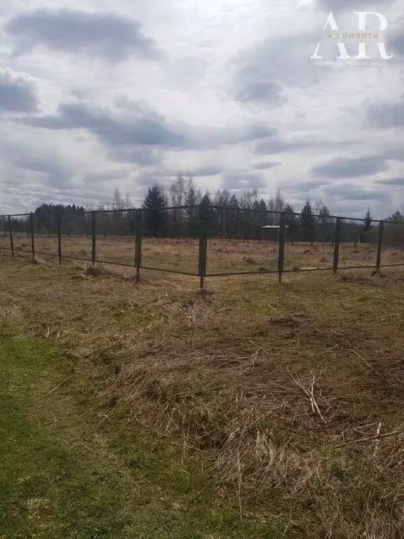 Участок в Московская область, Можайский муниципальный округ, Книжная ... - Фото 1