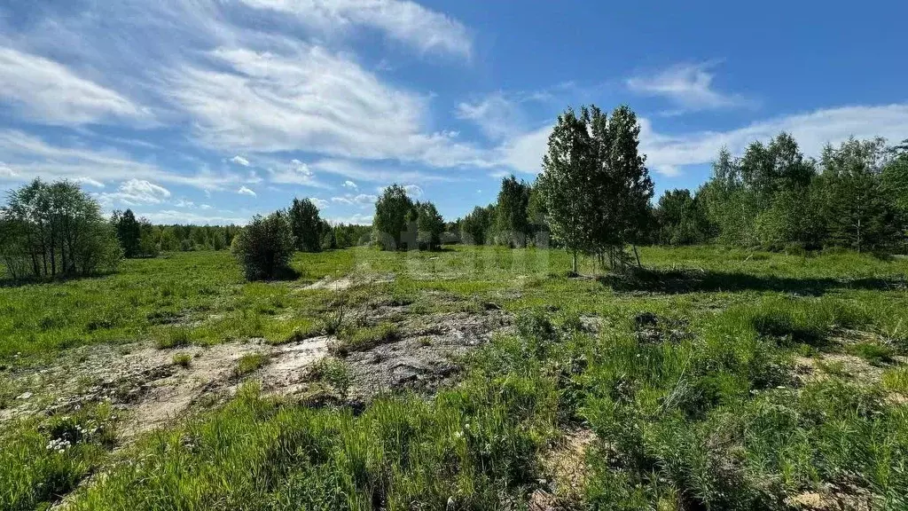 Участок в Тюменская область, Нижнетавдинский район, с. Тюнево  (10.0 ... - Фото 0