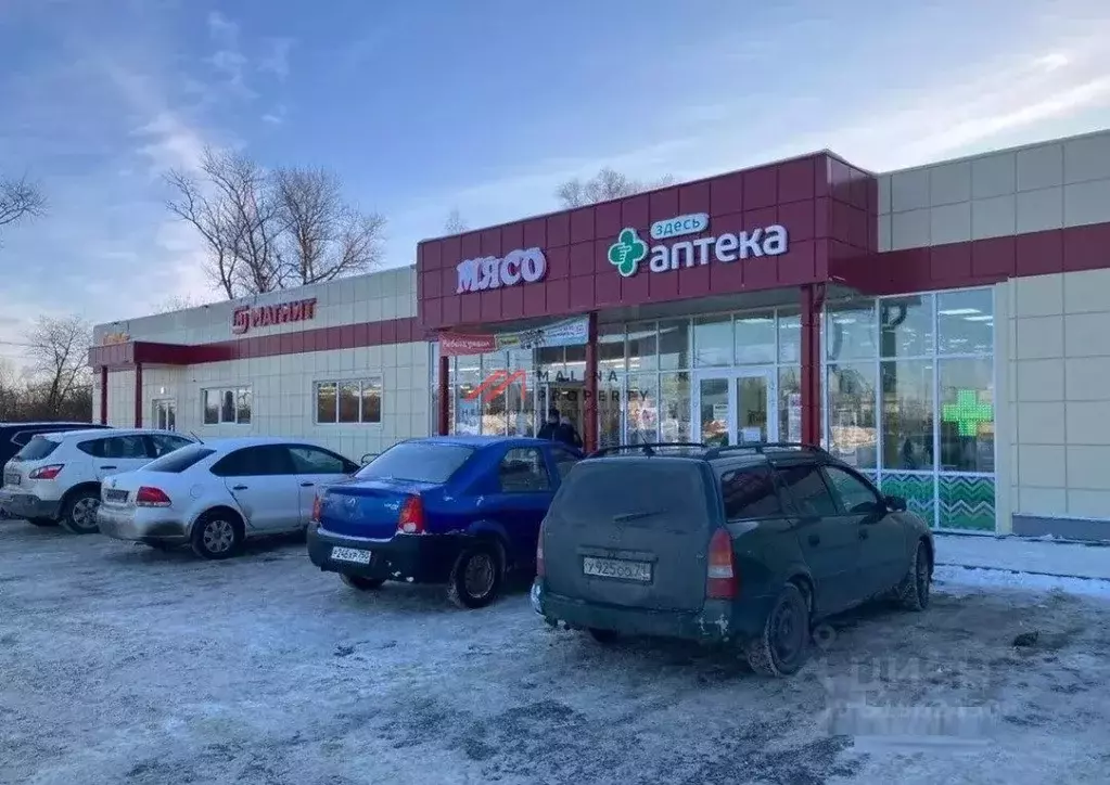 Торговая площадь в Московская область, Ступино городской округ, с. ... - Фото 1