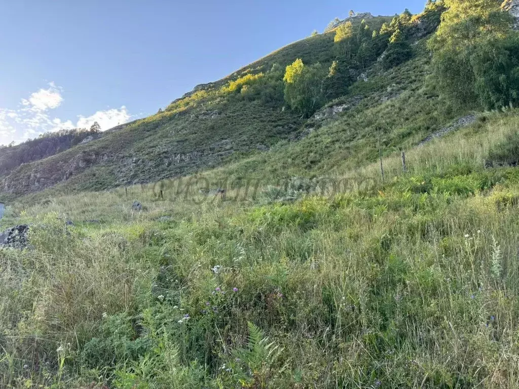 Участок в Алтай, Майминский район, с. Манжерок Подгорная ул. (11.73 ... - Фото 2
