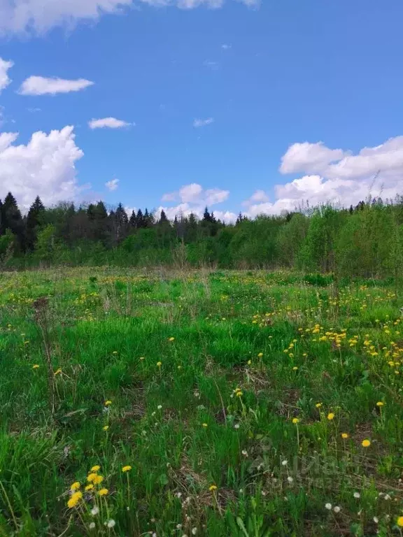 Участок в Московская область, Химки городской округ, д. Владычино  ... - Фото 0