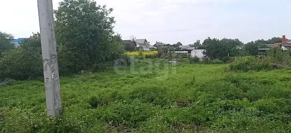 Участок в Брянская область, Брянск пос. Бордовичи,  (9.66 сот.) - Фото 2