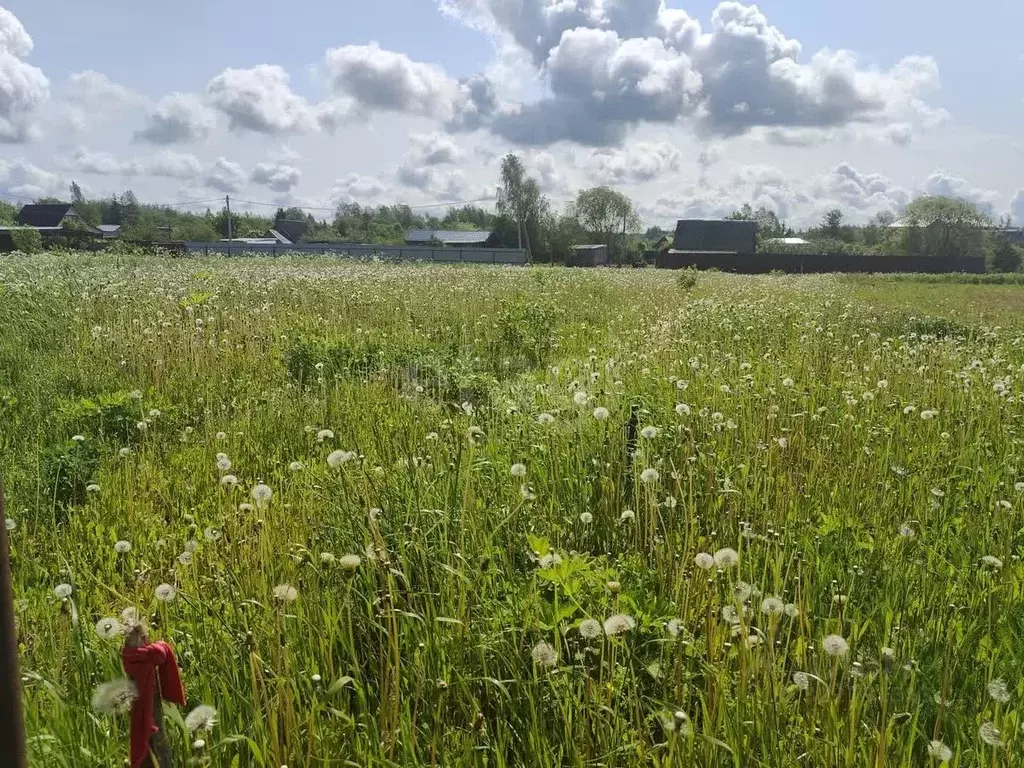 Участок в Ленинградская область, Волосовский район, д. Бегуницы  (10.0 ... - Фото 1