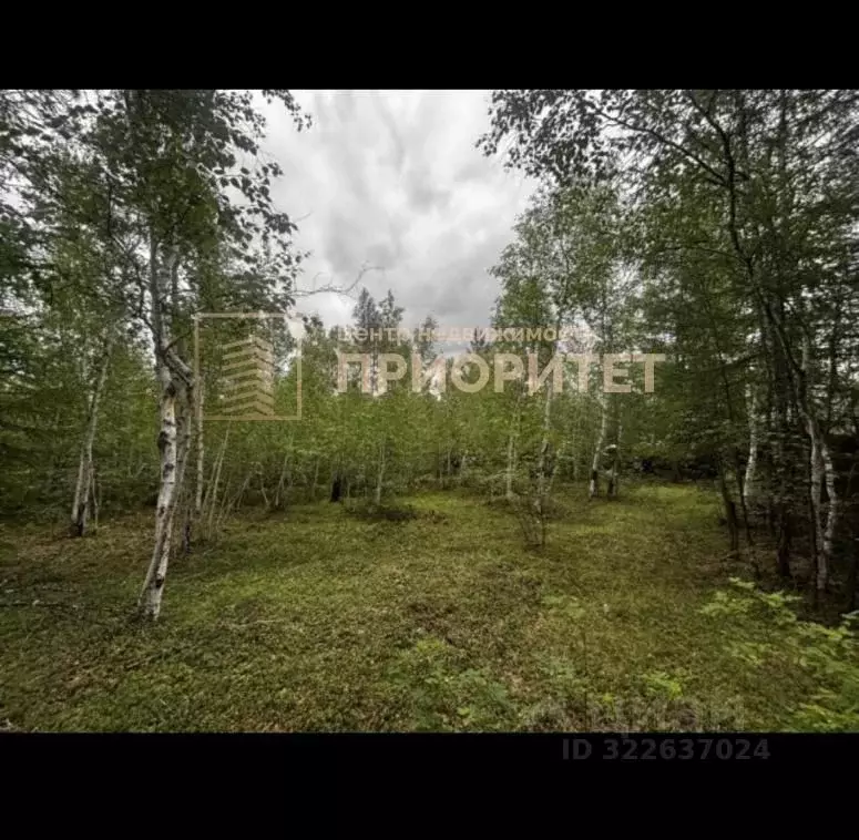 Участок в Саха (Якутия), Якутск Вилюйский тракт (600.0 сот.) - Фото 0