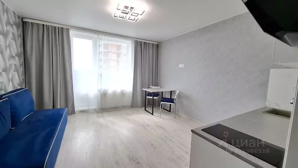 Студия Санкт-Петербург пос. Шушары, Московское ш., 262к1 (25.0 м) - Фото 1