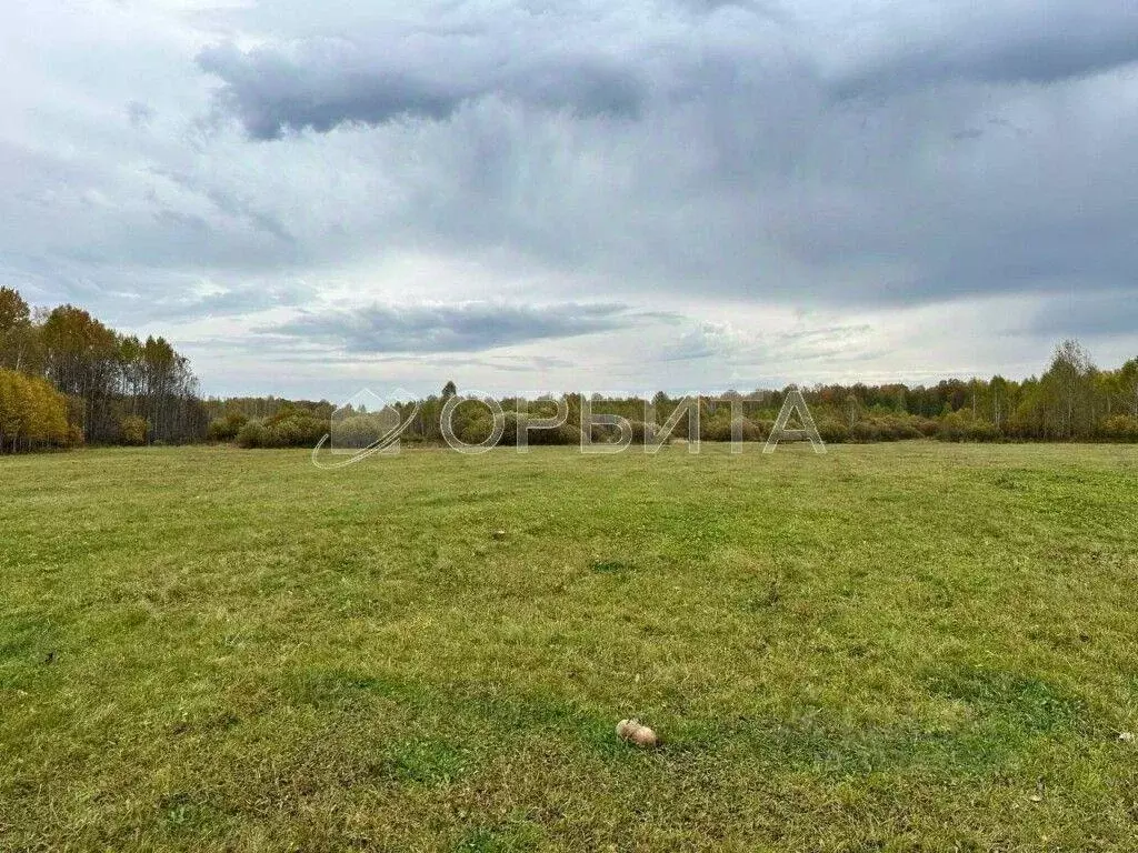 Участок, 1636.7 сот., сельхоз (снт или днп) - Фото 0