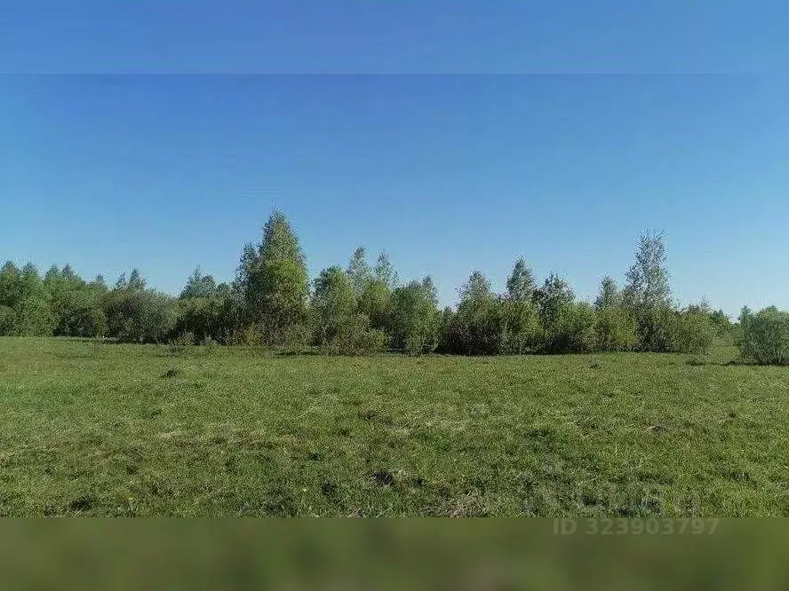 Участок в Московская область, Сергиево-Посадский городской округ, д. ... - Фото 2