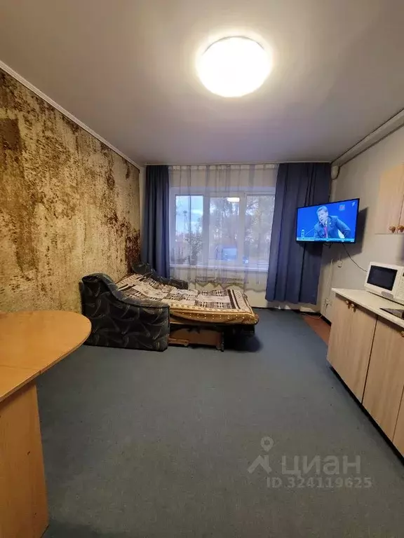 Студия Калининградская область, Багратионовский муниципальный округ, ... - Фото 2