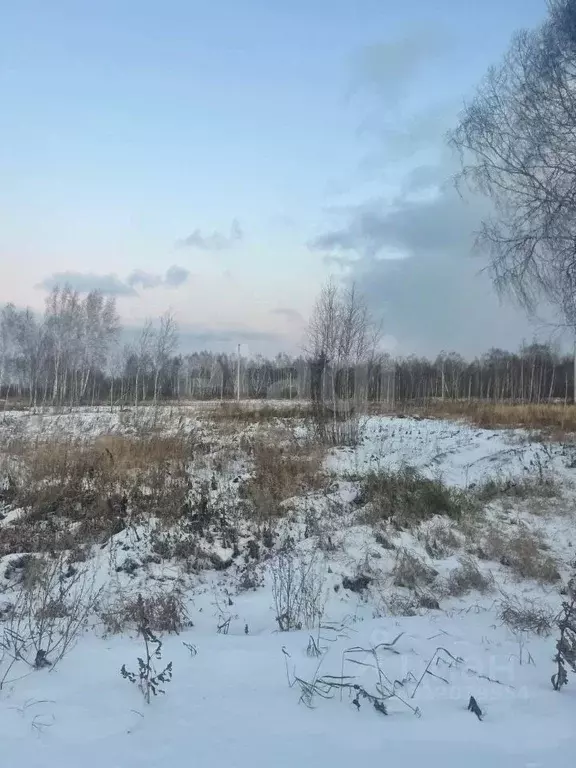 Участок в Тюменская область, Нижнетавдинский район, Тюневское с/пос, 7 ... - Фото 1