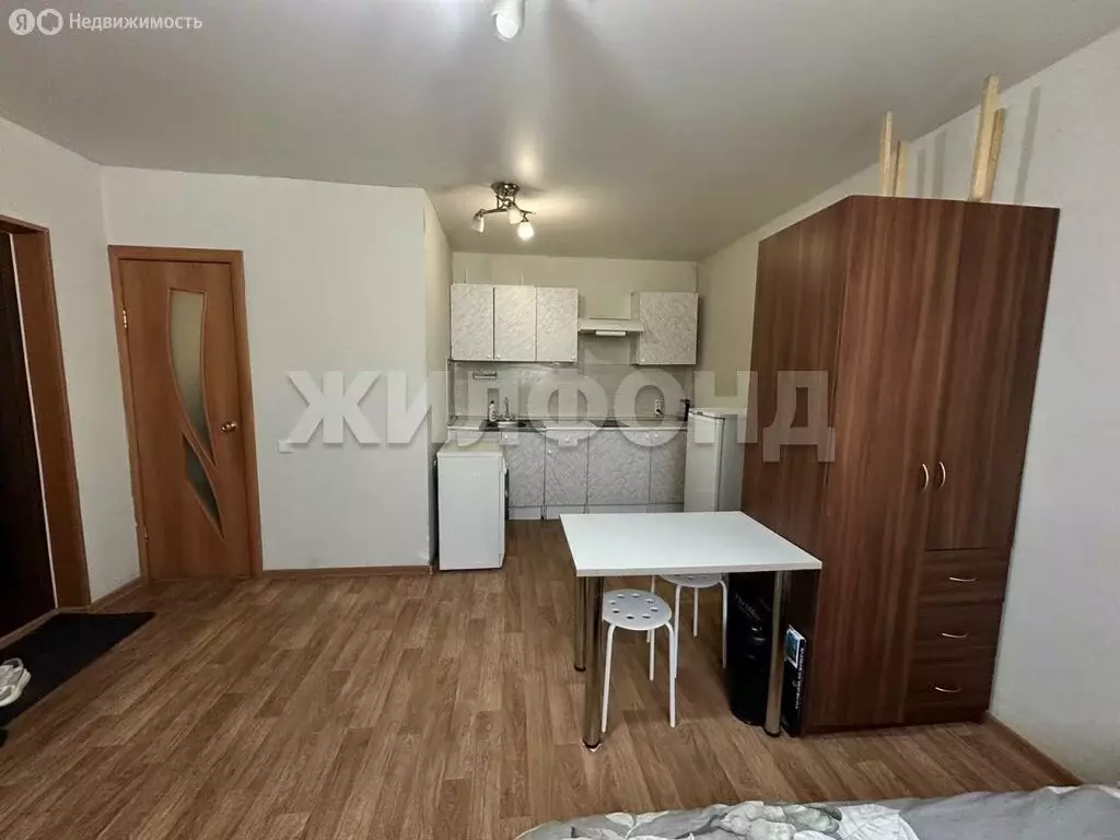 Квартира-студия: село Прокудское, Саратовская улица, 13 (22.5 м) - Фото 2