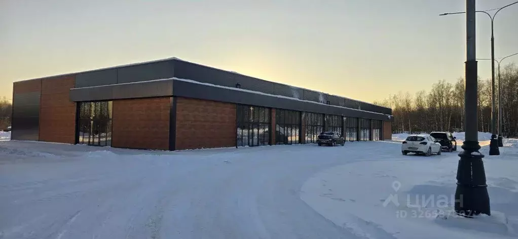 Торговая площадь в Московская область, Воскресенск городской округ, д. ... - Фото 1