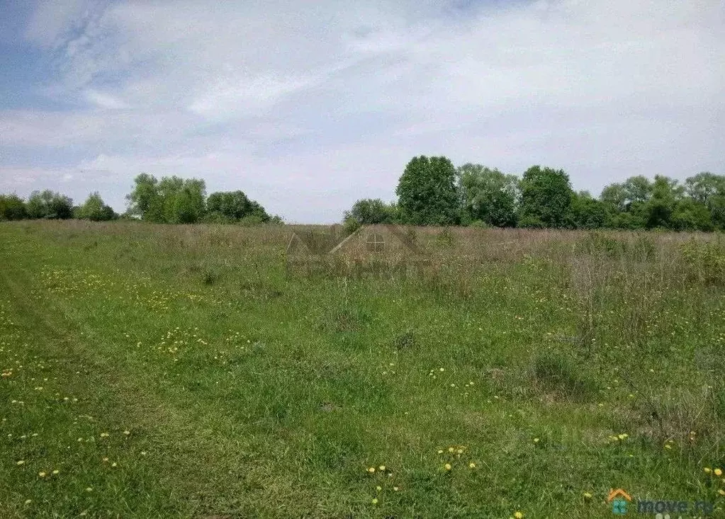 Участок в Новгородская область, Чудовский район, Трегубовское с/пос, ... - Фото 1