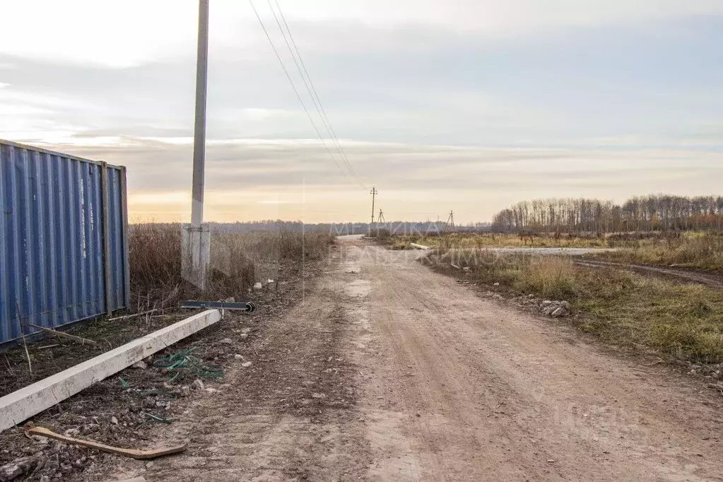 Участок в Тюменская область, Тюменский муниципальный округ, с. ... - Фото 1