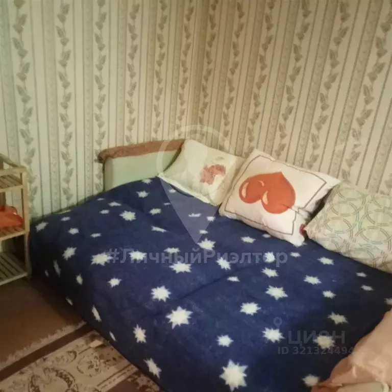 1-к кв. Рязанская область, Скопин Фабричная ул., 2 (30.0 м) - Фото 1