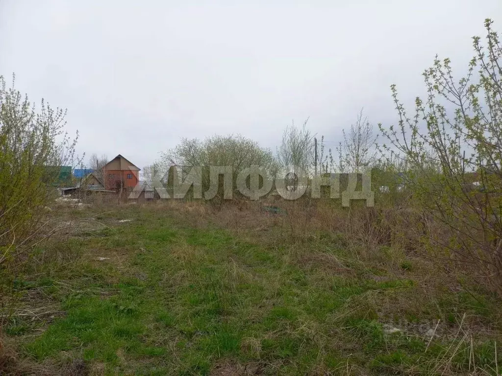 Участок в Новосибирская область, Новосибирск Лилия СНТ, 715 (3.43 ... - Фото 0