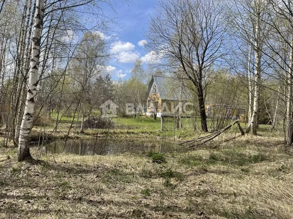 Участок в Владимирская область, Судогодский район, Головинское ... - Фото 0